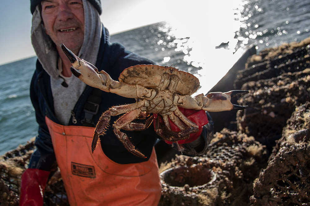 fisherman holding a crab towards the camera