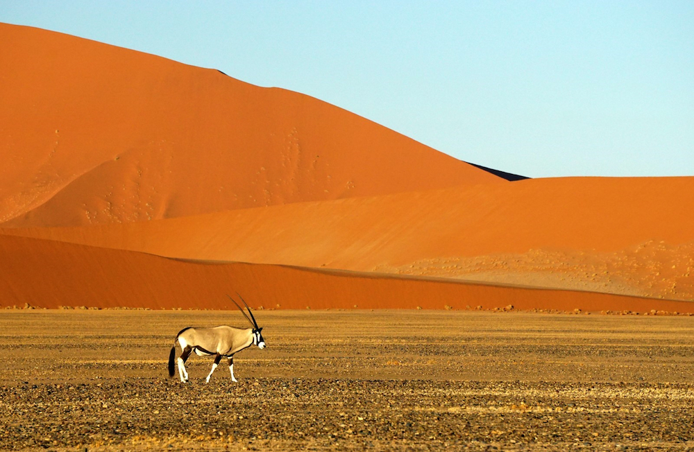 The Namib-Naukluft National Park encompasses part of the Namib desert and part of the Naukluft mountain range