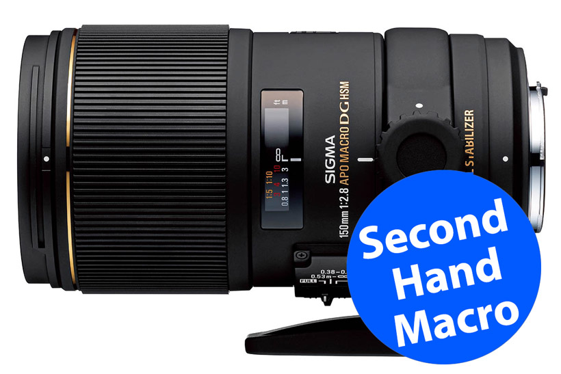 Best second-hand macro lenses - buyers guide