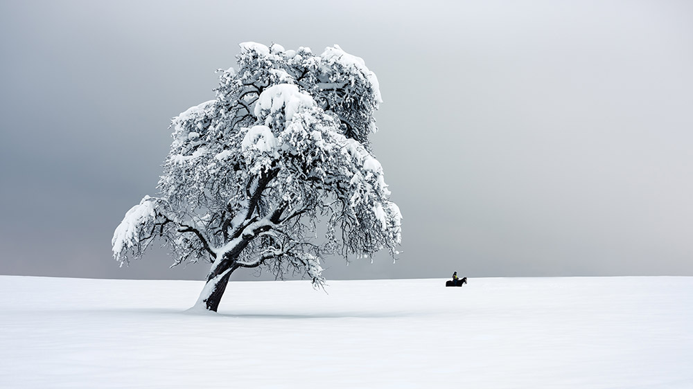 Glen Marillier snowy landscape scenes