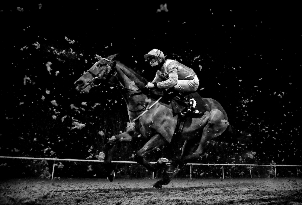 Goring, ridden by Charles Bishop during the Play 4 to Win at Betway Handicap at Wolverhampton Racecourse. © Mike Egerton