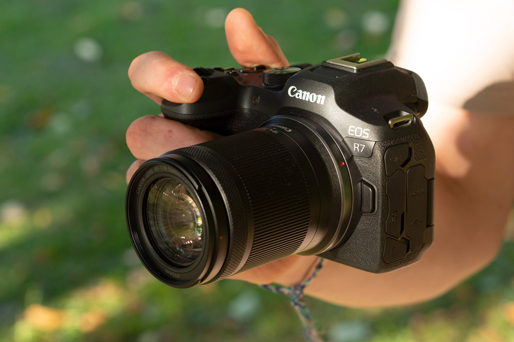 Best Canon mirrorless cameras in 2024 Amateur Photographer