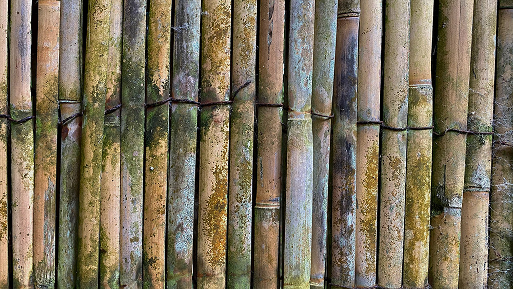 Detail of a bamboo fence in the Japanese gardens in Cornwall macro smartphone photo