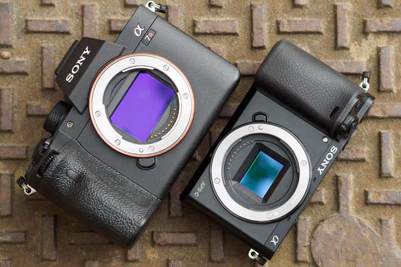 Full-frame sensor in the Sony Alpha A7R IV, and the APS-C sensor in the Sony Alpha A6000, Photo: Andy Westlake
