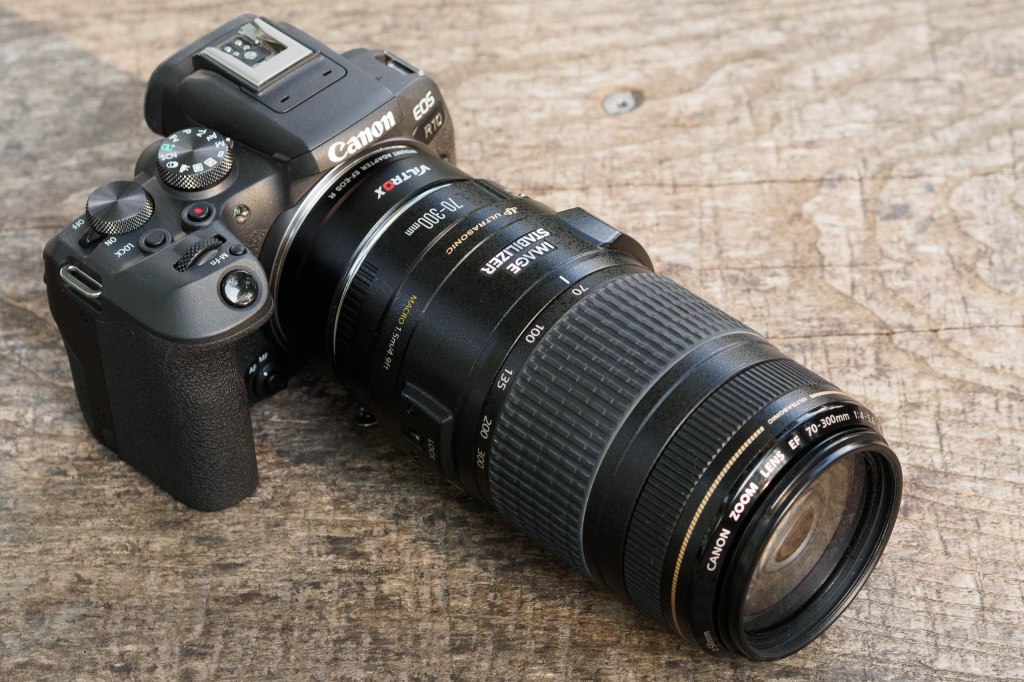 Canon EOS R10 with EF 70-300mm f/4-5.6 IS USM lens via Viltrox adapter