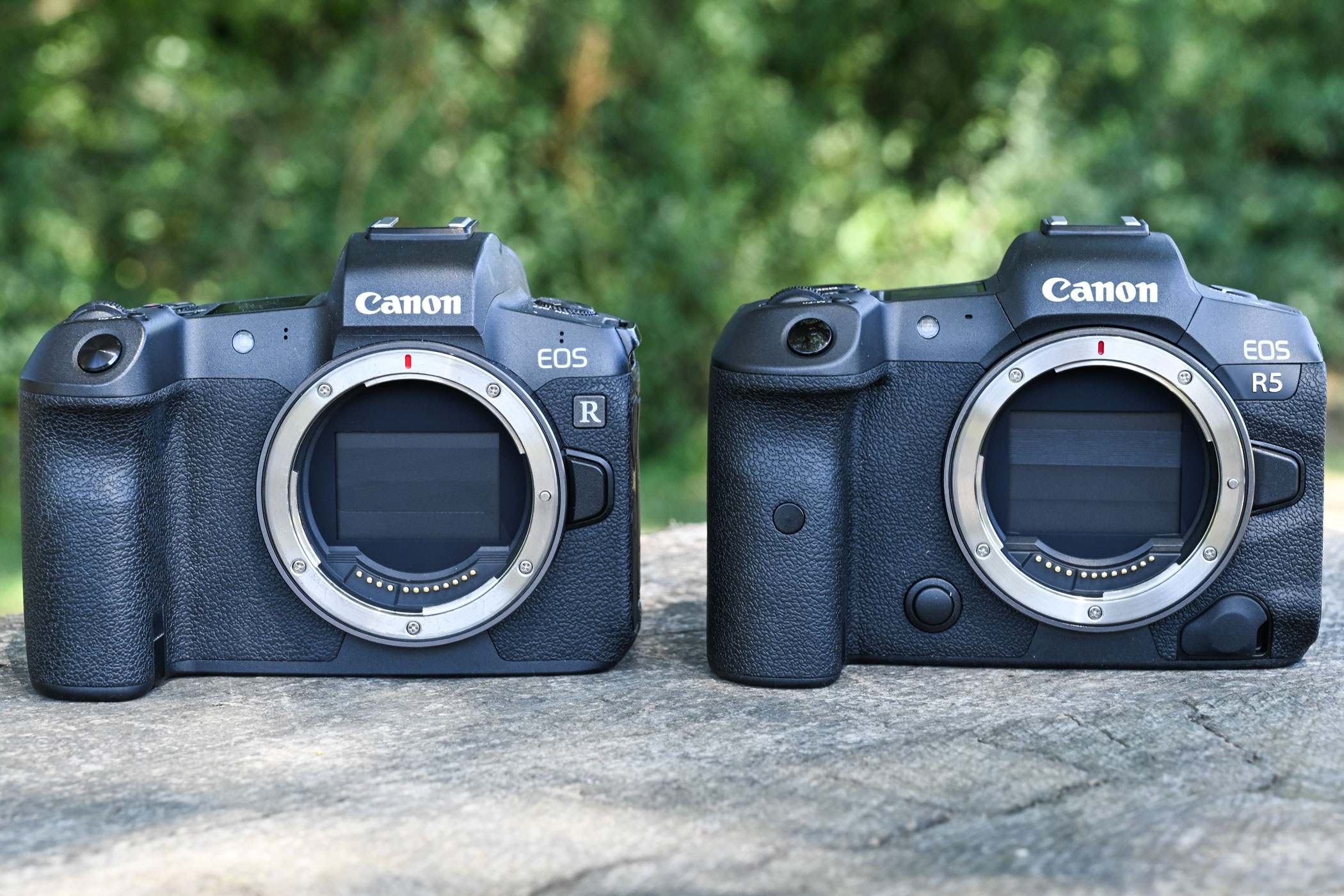Canon's EOS R5 (right) seeks to address the shortcomings of the original EOS R (left)