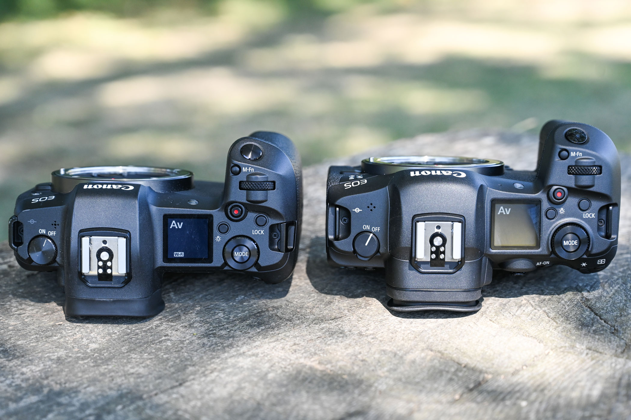 The R5 is thicker than the EOS R to accommodate the IBIS unit, but its top-plate control layout is identical