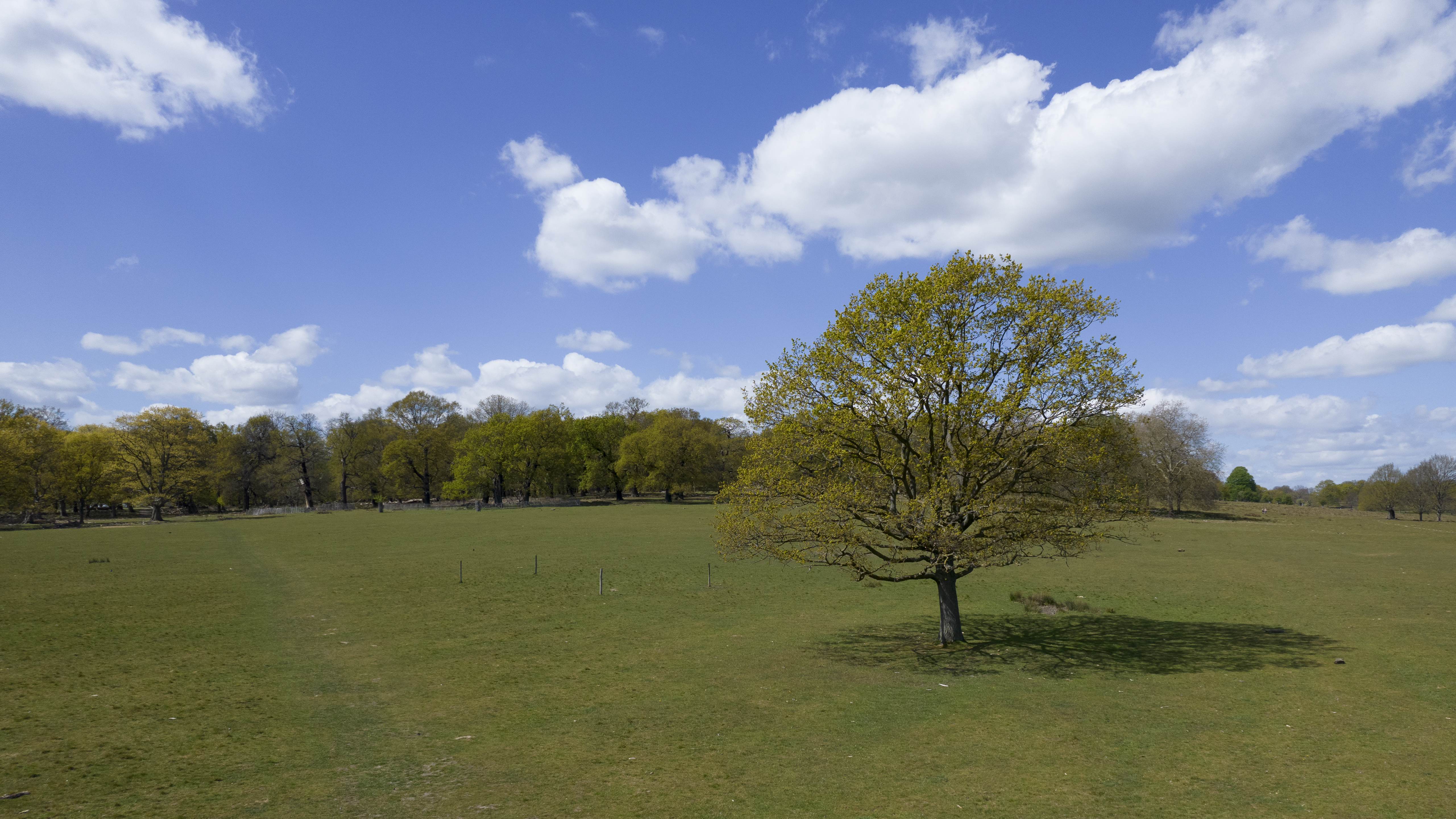 Landscape scene with tree, 1/3200s, f/2.8, ISO100, 8mm, Angela Nicholson