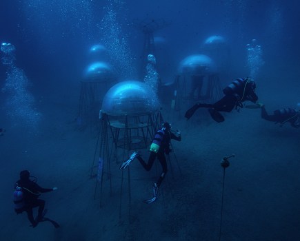 Nemo's Garden under photograph by Giacomo d'Orlando