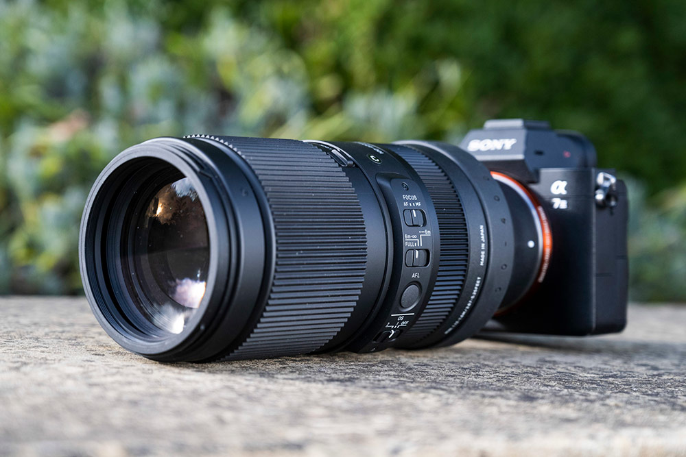Best lenses for wildlife photography: Sigma 100-400mm F5-6.3 DG DN OS Contemporary