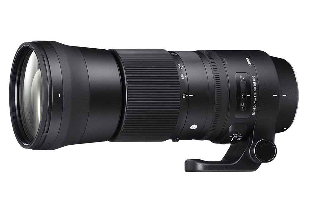 Best lenses for wildlife photography: Sigma 150-600mm f/5-6.3 DG OS HSM | S