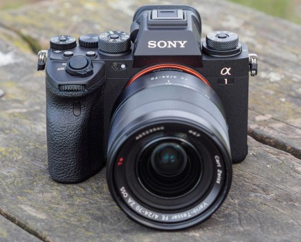 Sony Alpha A1 Review image