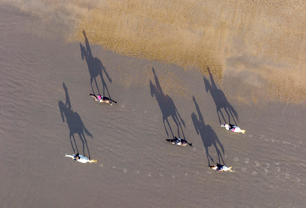 drone looking down at five people on horses riding on the beach