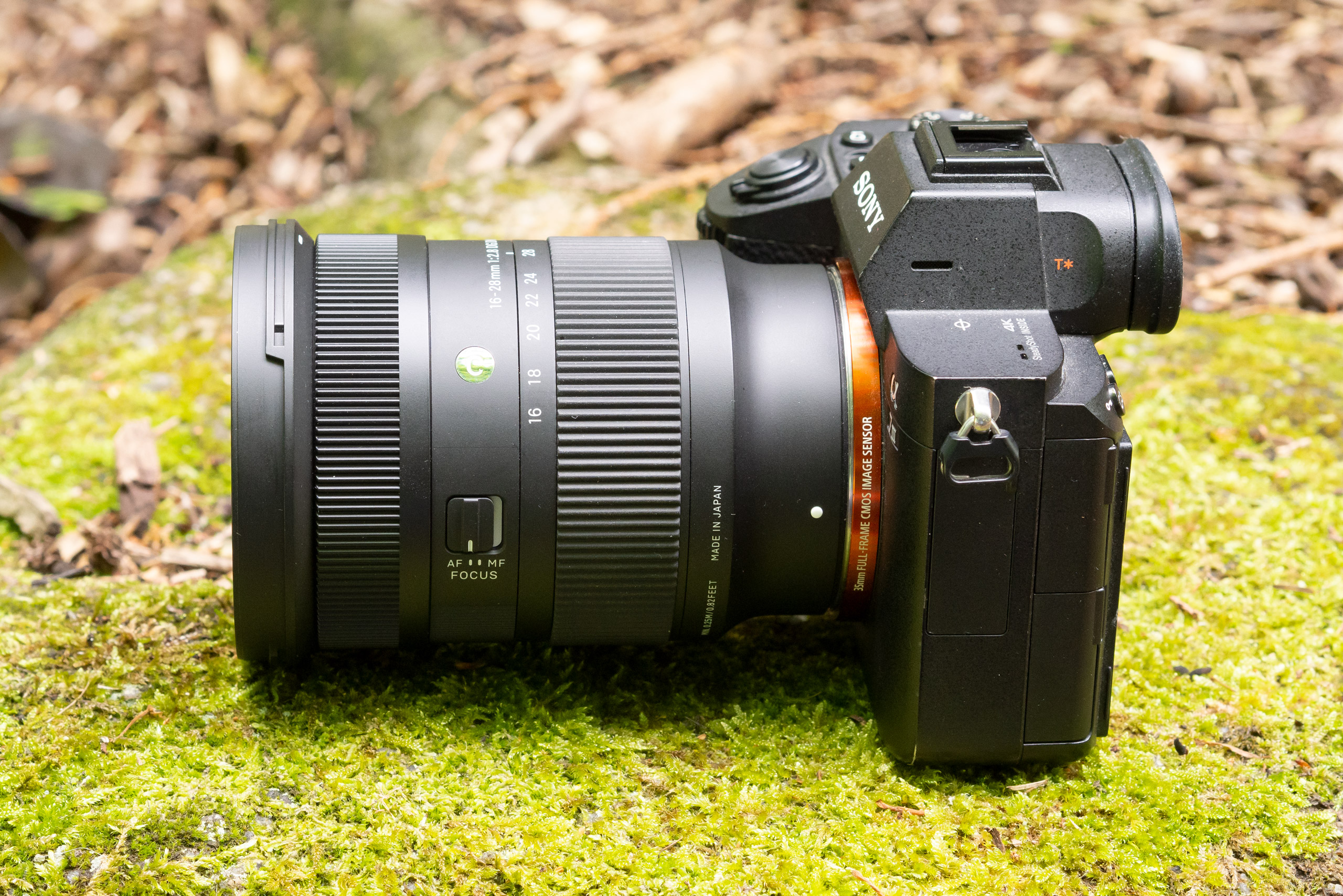 The Sigma 16-28mm lens is a good match for the Sony Alpha A7 series