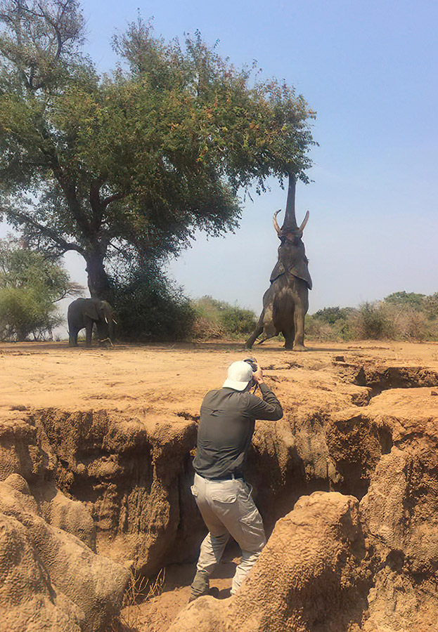 Marsel van Oosten photographing elephants in Zambia. The ground had been eroded by water from the Zambesi River, which caused natural gullys. Image: Marsel van Oosten