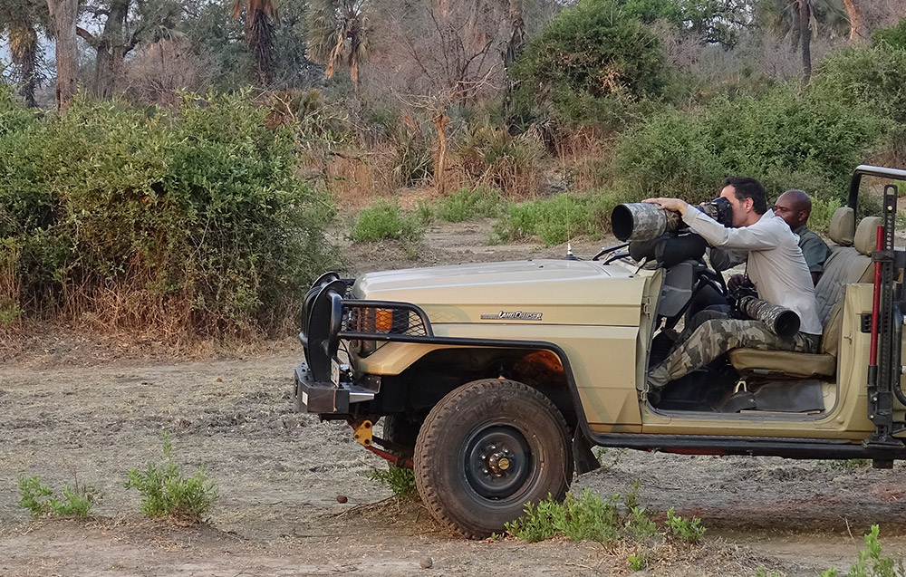 Marsel van Oosten Shooting from a vehicle in Zambia. 