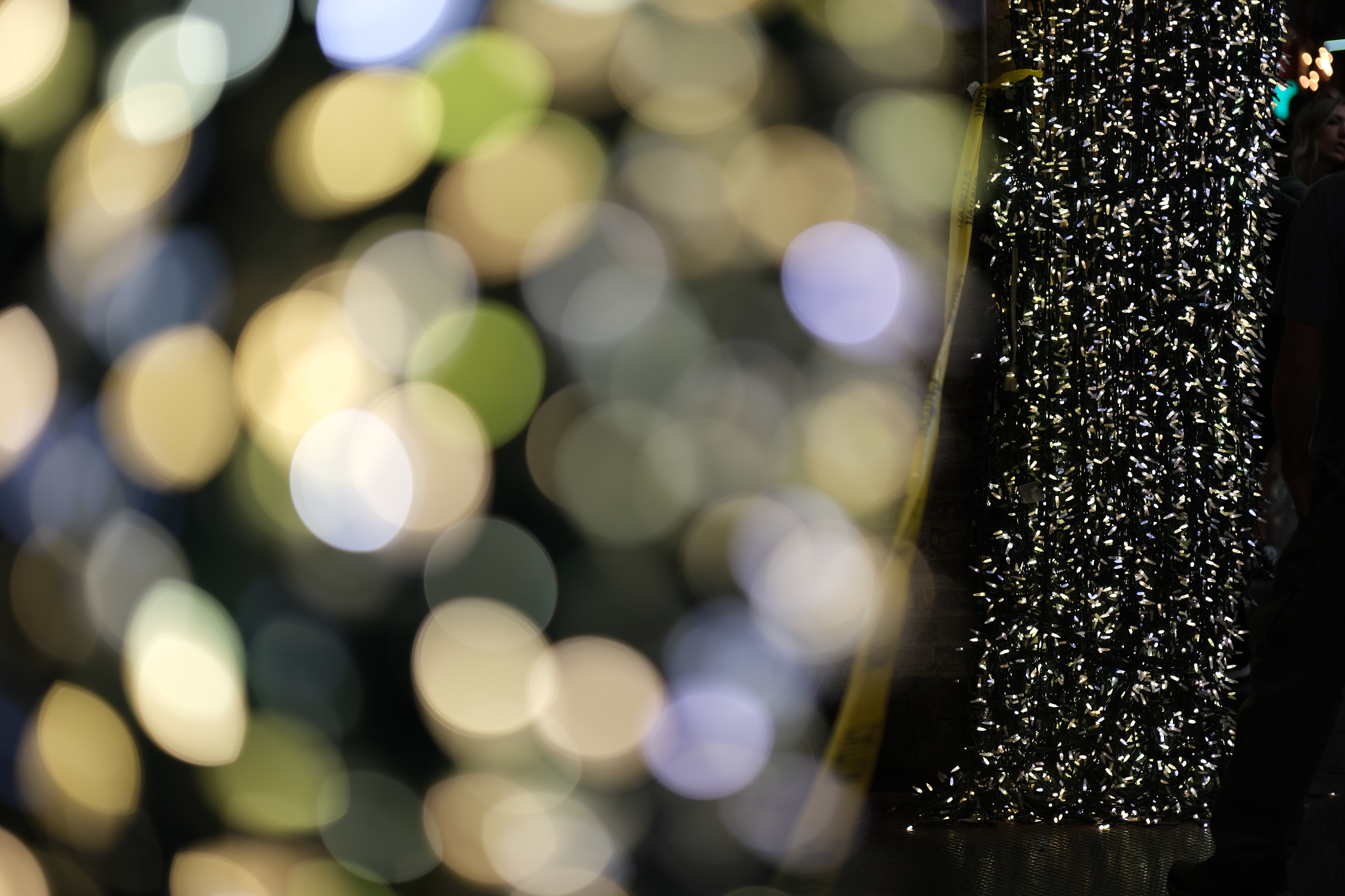 Front bokeh, taken with X-H2, 1/105s, f/1.2, ISO125, 56mm, Joshua Waller
