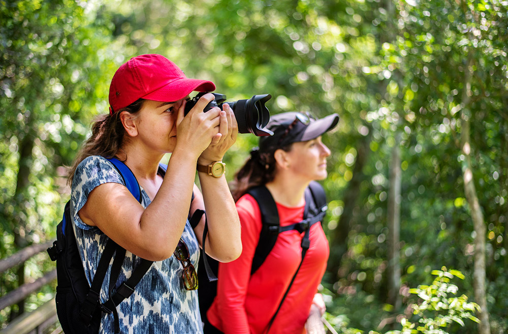 women on photography community walk in the forest