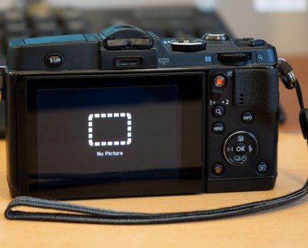 No Picture - displayed on an Olympus camera, in playback mode. Where have my photos gone?