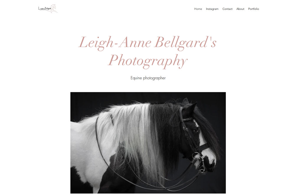 Wix website by Leigh-Anne-Bellgards: https://bellgardleighanne.wixsite.com/photography