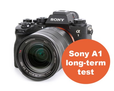 Sony A1 long-term test