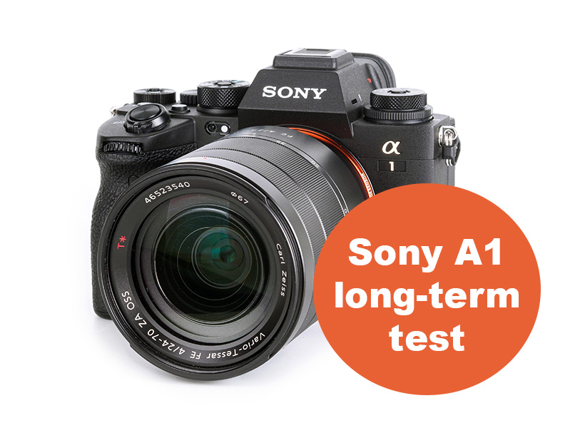 Sony A1 long-term test