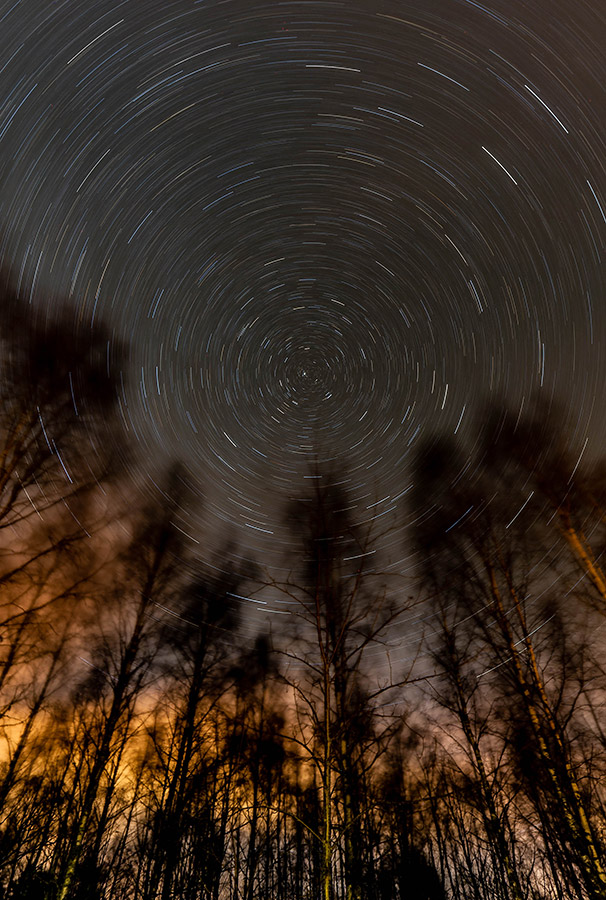 astrophotography starscape looking up at trees manual focus