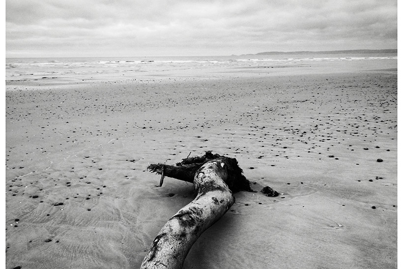 honor x7 phone photo of tree log on the beach
