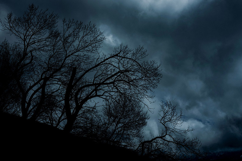 night landscape photography trees