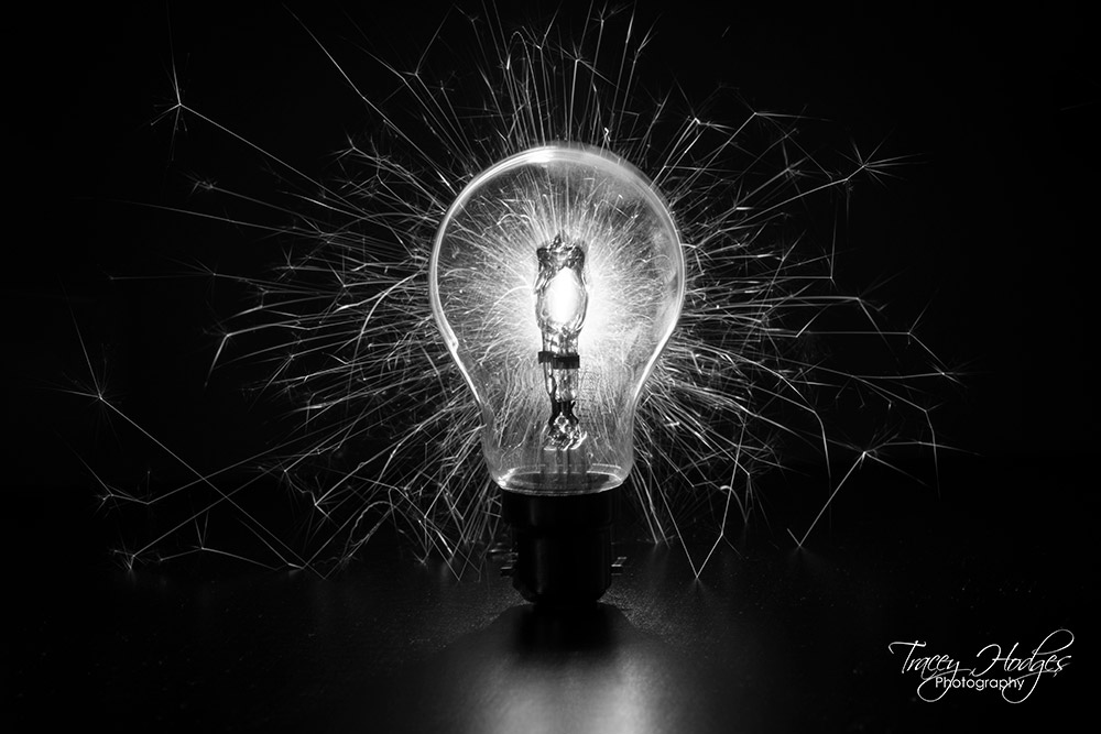 sparkler behind a light bulb home studio photography