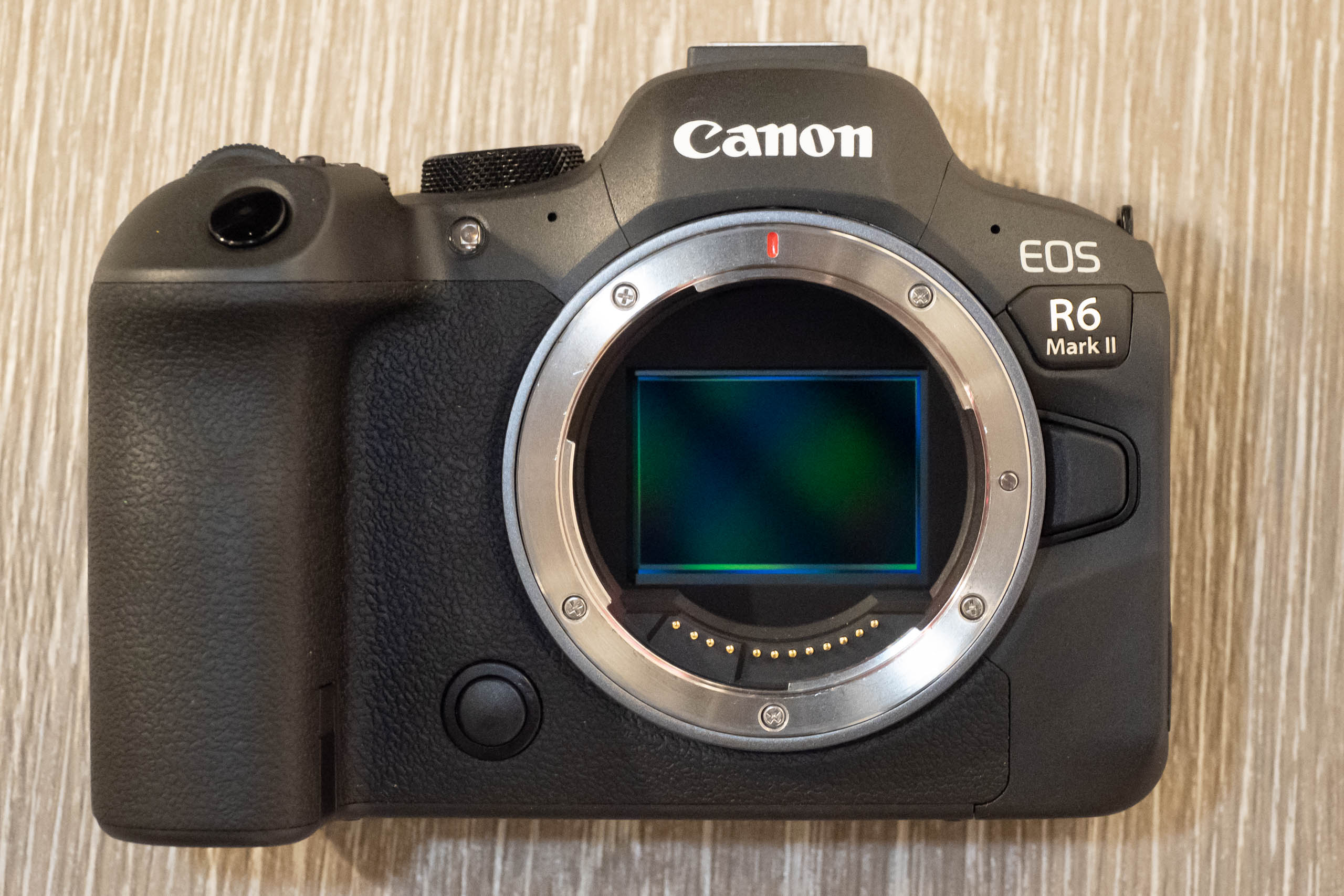 Canon EOS R6 Mark II 24MP sensor