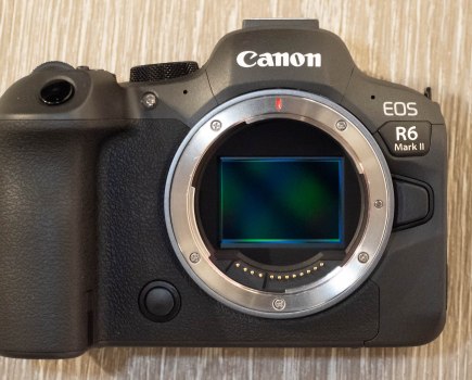 Canon EOS R6 Mark II 24MP sensor