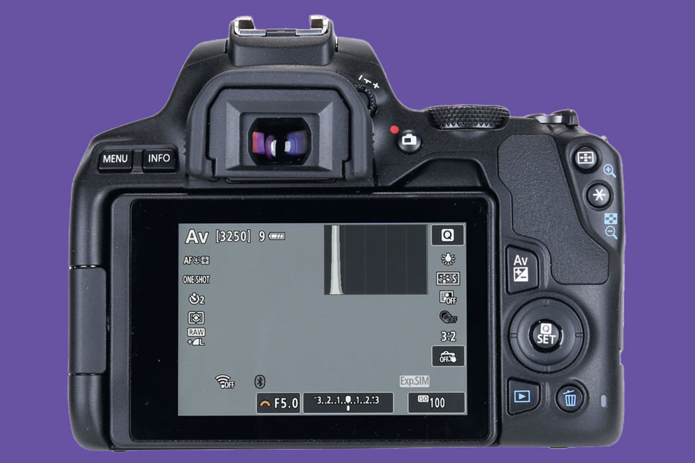Canon EOS 250D rear screen
