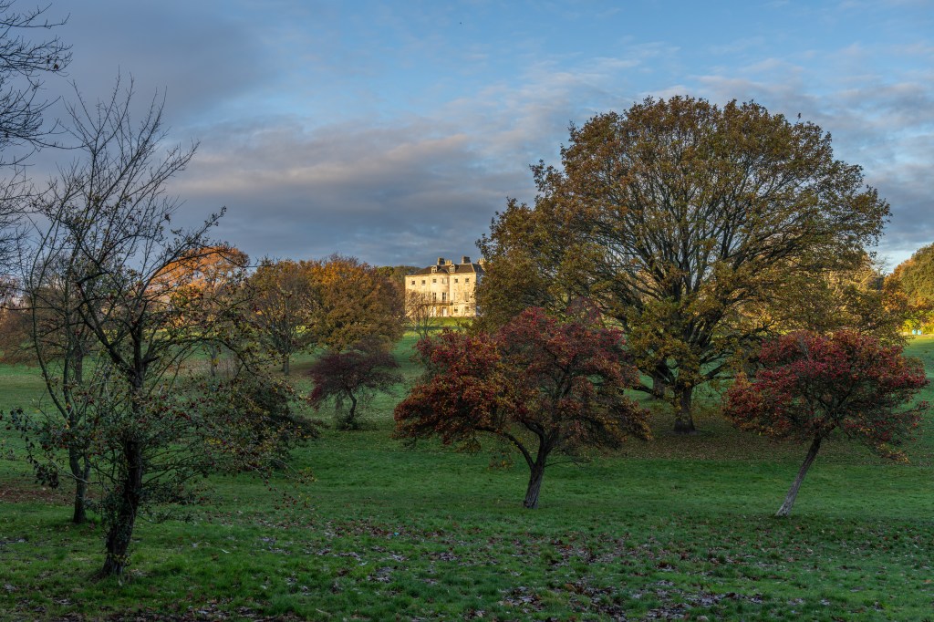 Sony A7R V uncompressed raw comparison sample image, landscape with a stately home