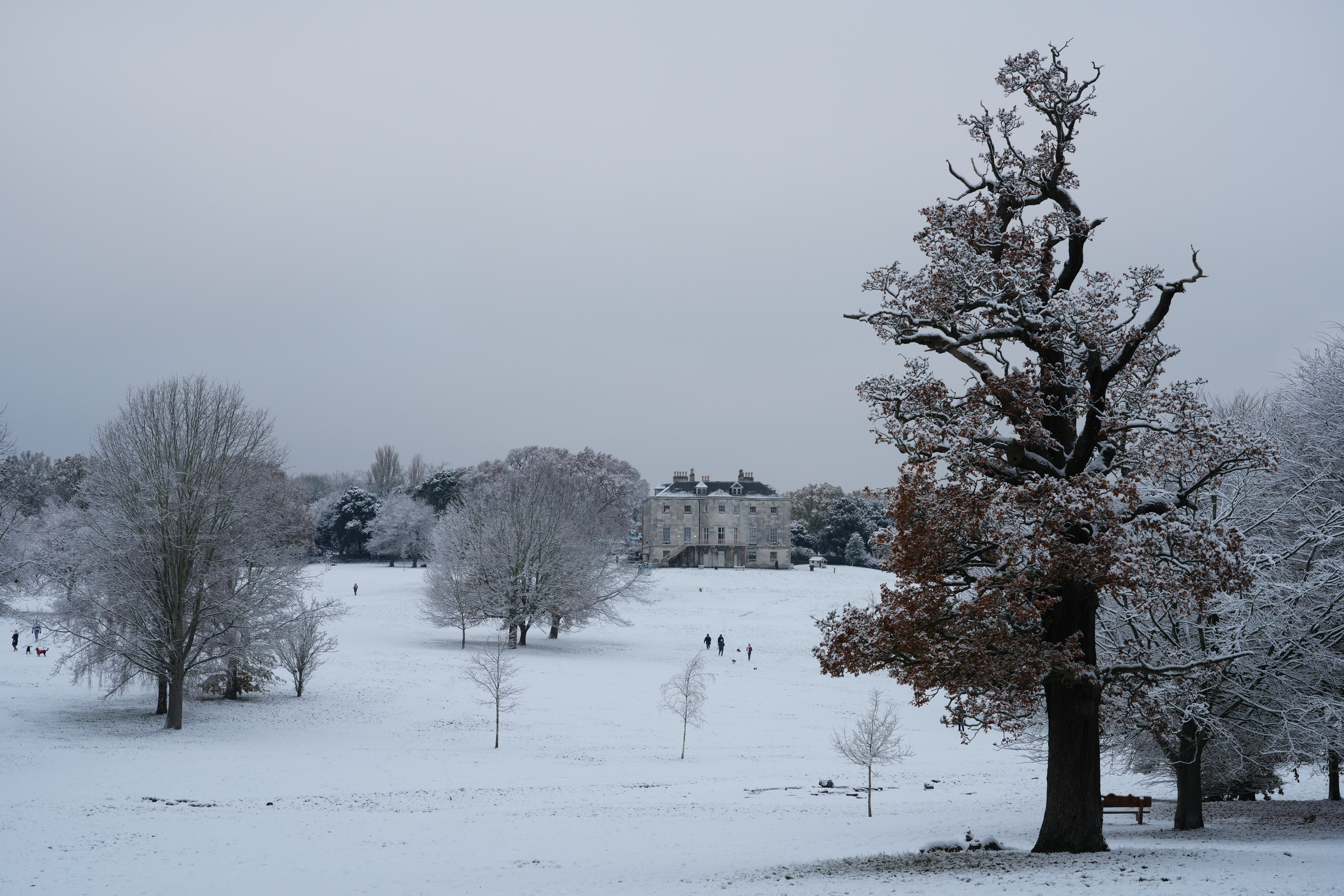 Sony A7R V snowy landscape JPEG sample image 