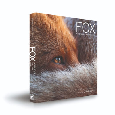 Fox: Neighbour, Villain, Icon