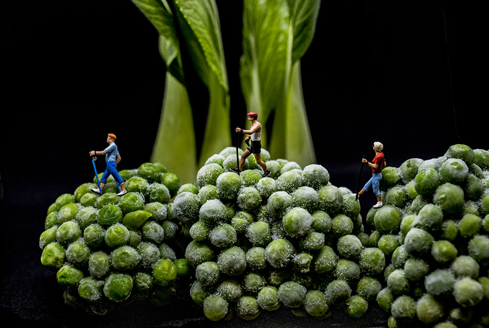 figurines on frozen peas