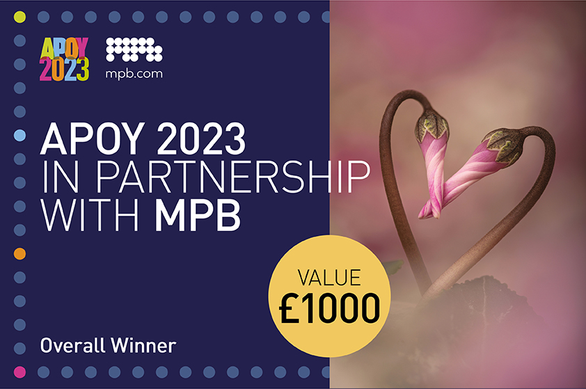 APOY 2023 Partnership with MPB winner £1000/$1000 prize
