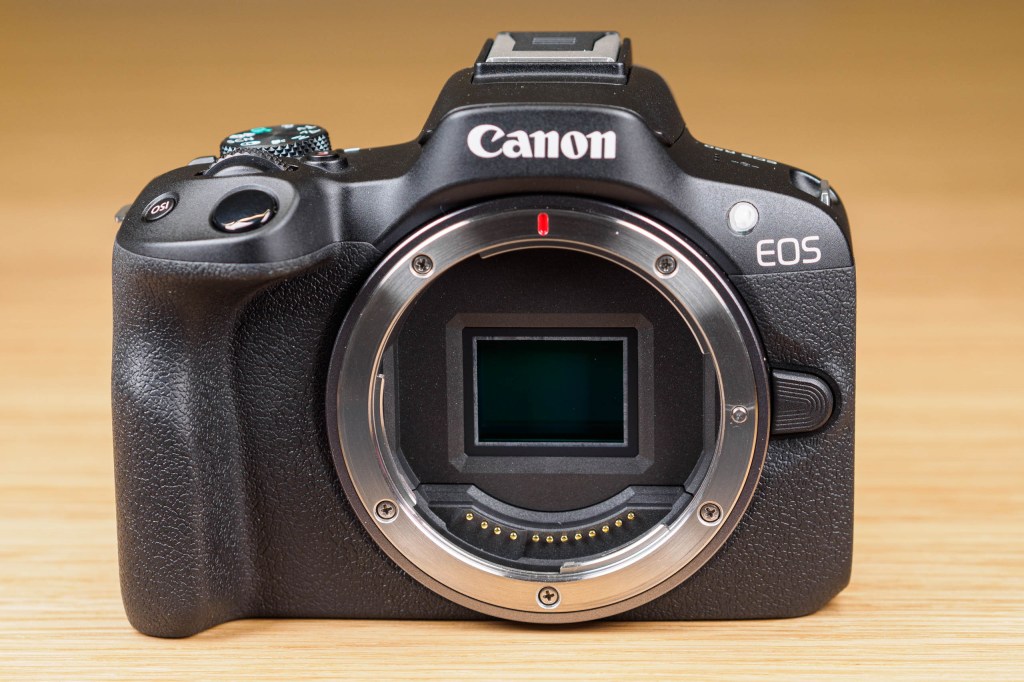 Canon EOS R50 24MP APS-C sensor