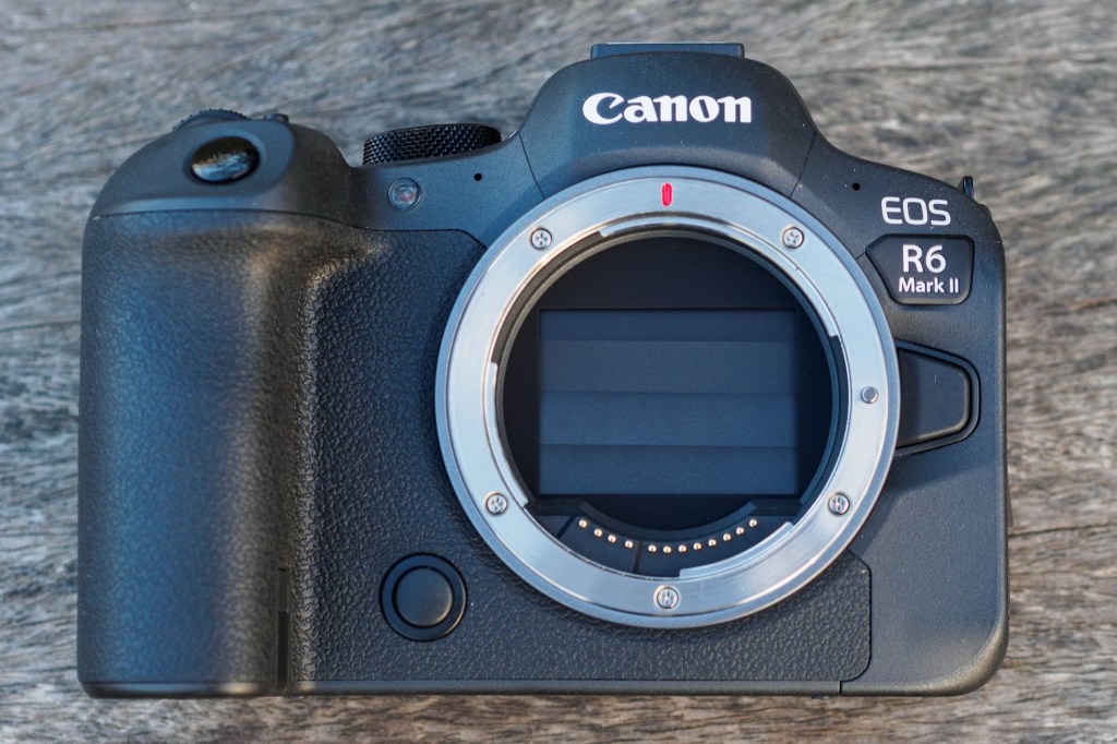 Canon EOS R6 Mark II shutter closed