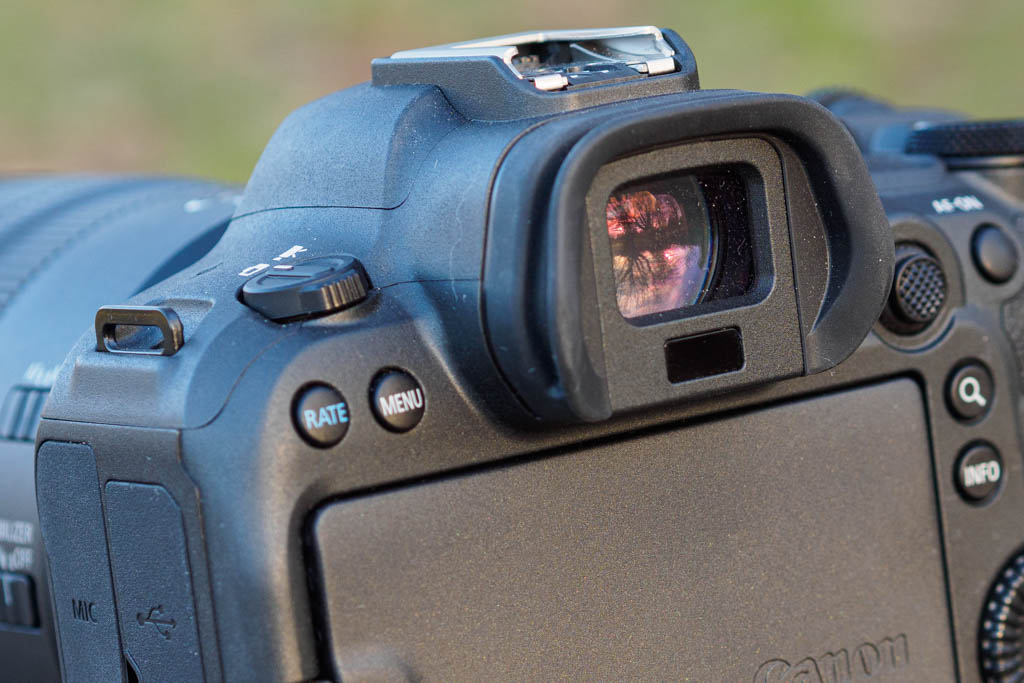 Canon EOS R6 Mark II review - a powerful Canon | Amateur Photographer