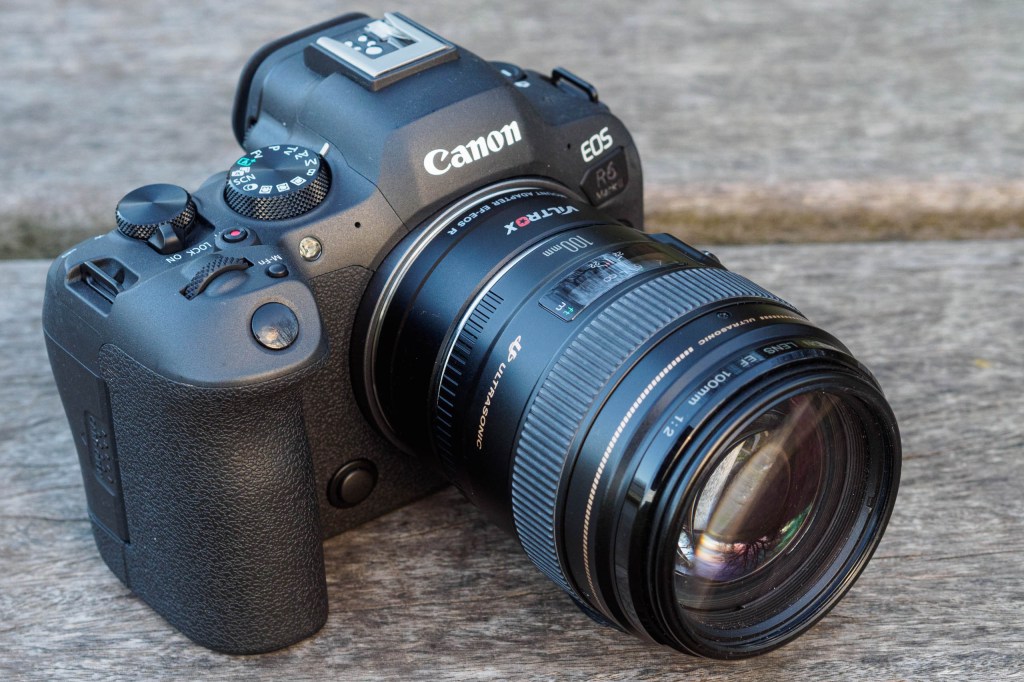 Canon EOS R6 Mark II with Canon EF 100mm f/2 USM via Viltrox adapter