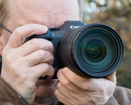 Canon EOS R6 Mark II in use