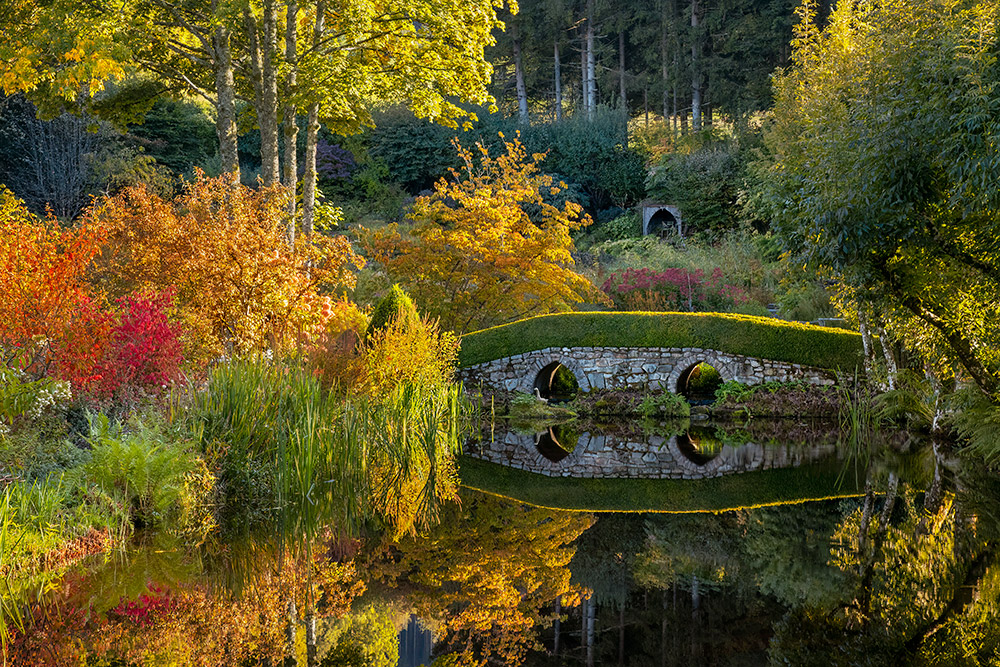 Claudia Gaupp, Autumn Reflections, Finalist in Beautiful Gardens category of IGPOTY 16
