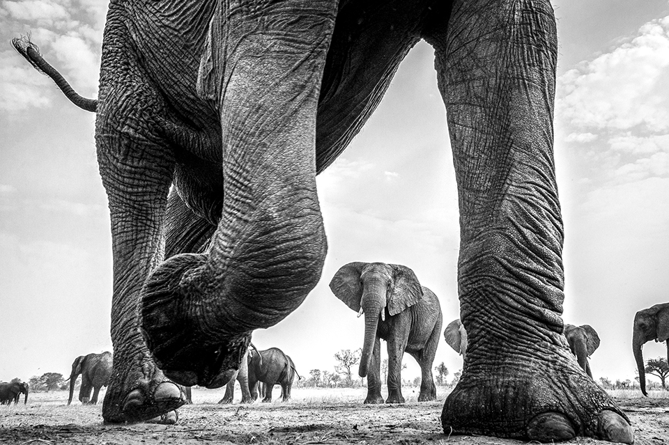 Travel Photographer of the Year 