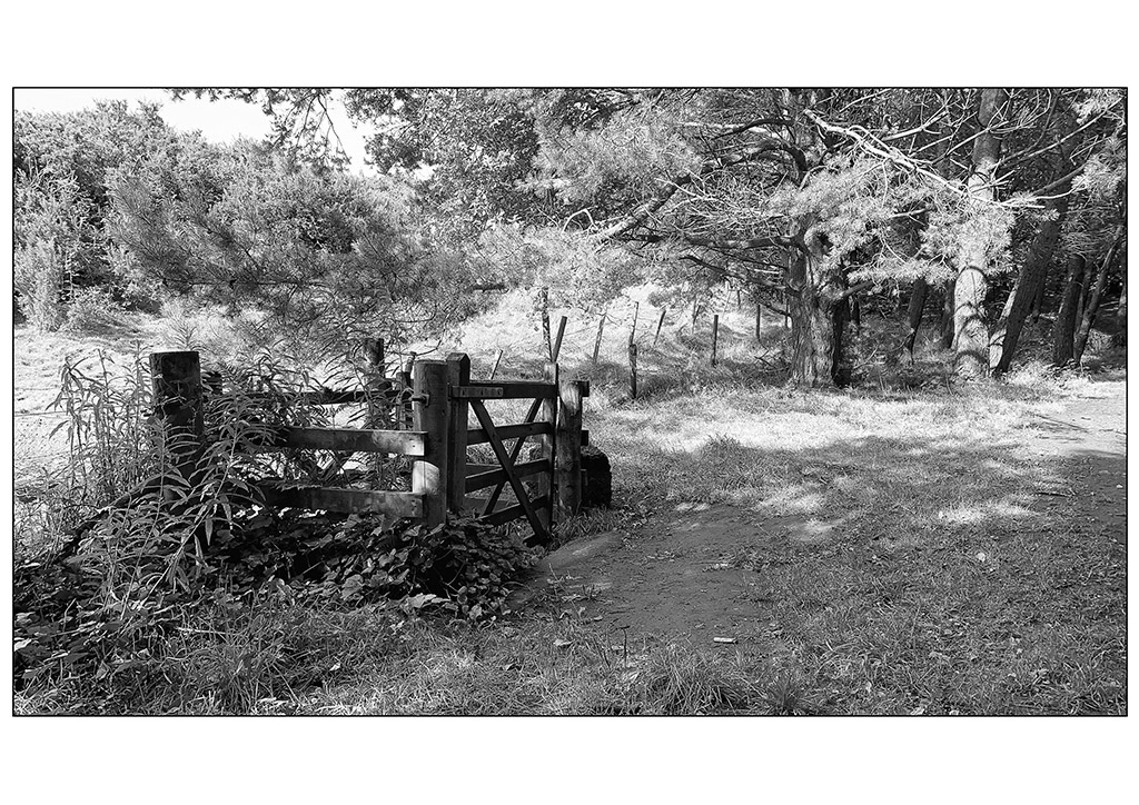 Tandle Hills Gate black and white smartphone photography