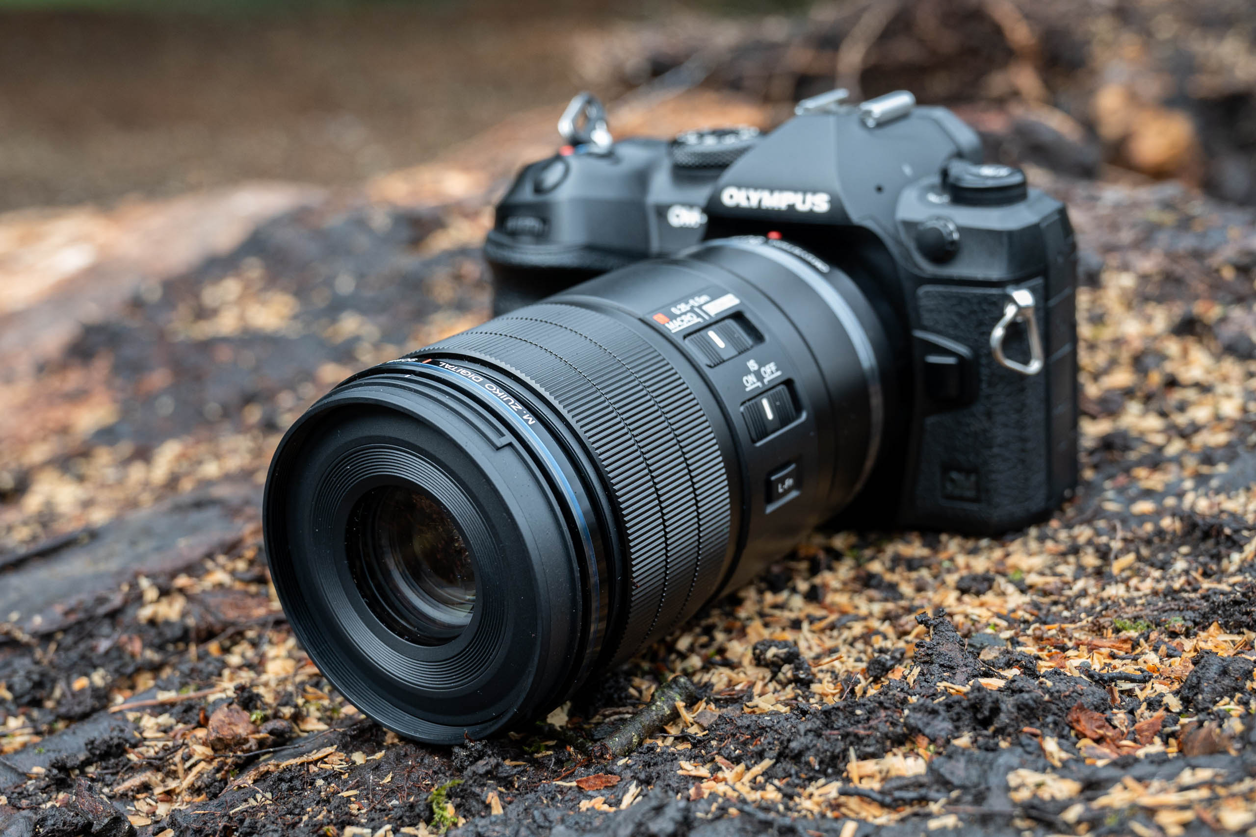 40mm f2 and 50mm 1.8: Nikon Z Mirrorless Talk Forum: Digital Photography  Review