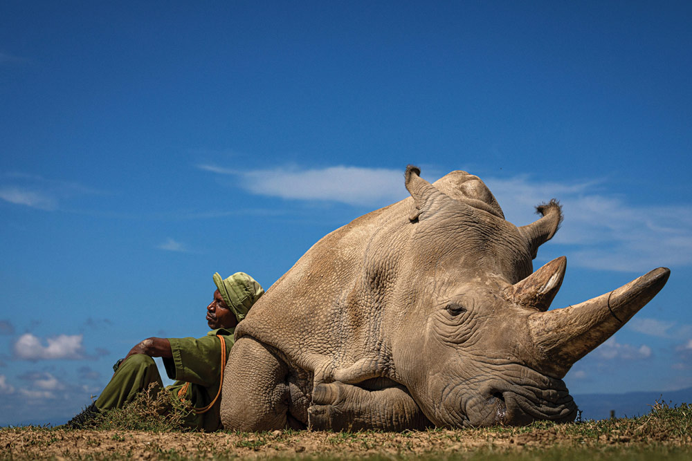 Travel Photographer of the Year 