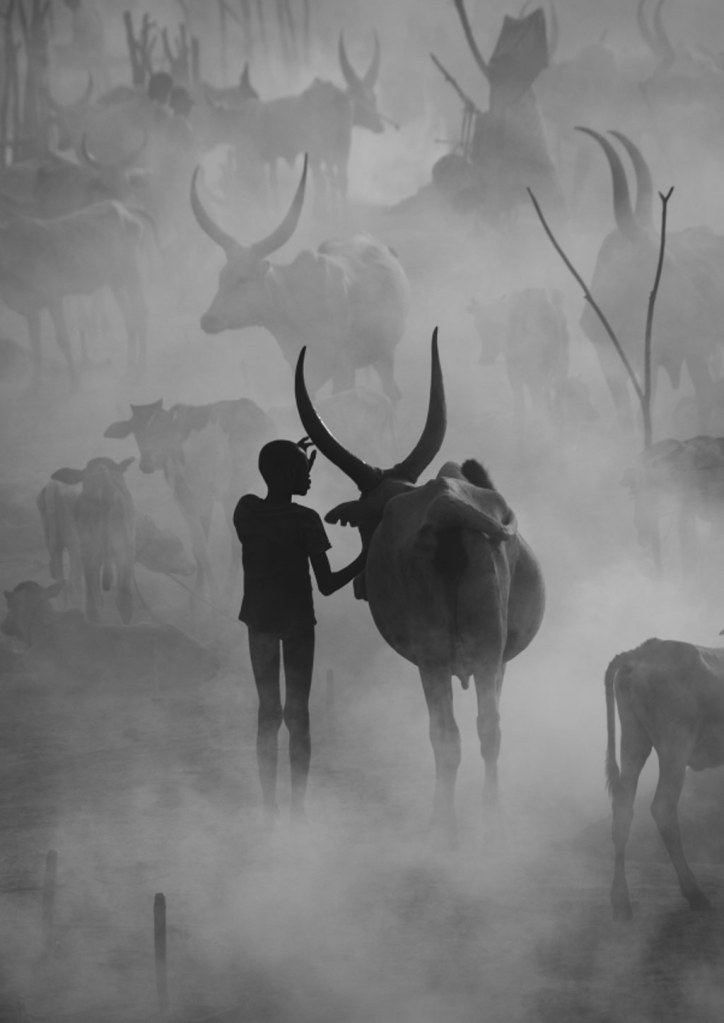 Max Vere-Hodge Sony World Photography Awards 2023 Open competition travel category winner travel photography