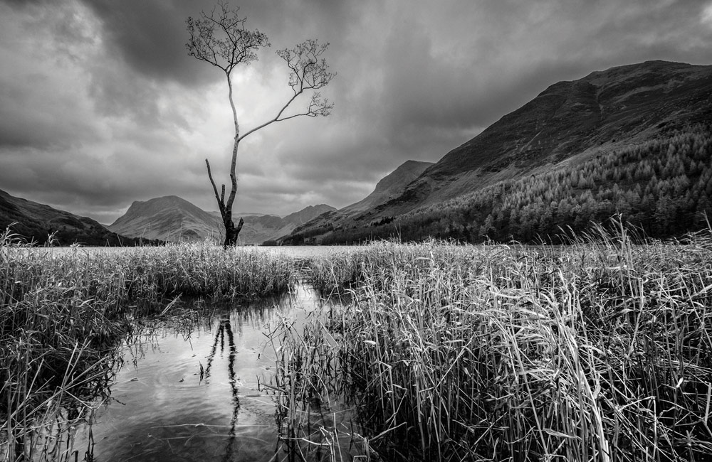 6 Tips for Shooting Black and White Photography - 2023 - MasterClass